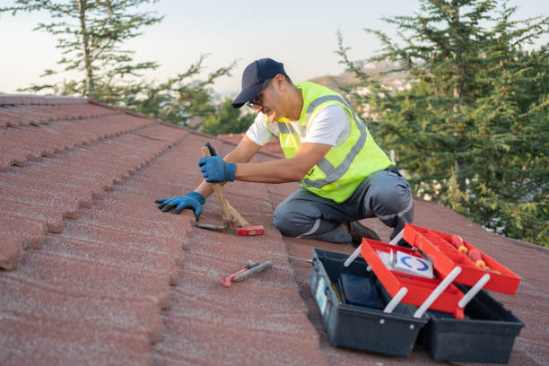 Best Local Roofing Companies  in Woodstown, NJ